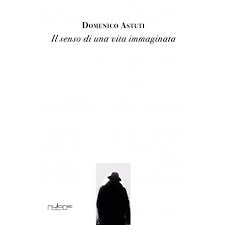 copertina di Il senso di una vita immaginata di Domenico Astuti